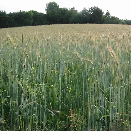 Stylish In Hébergement de vacances Bemelen