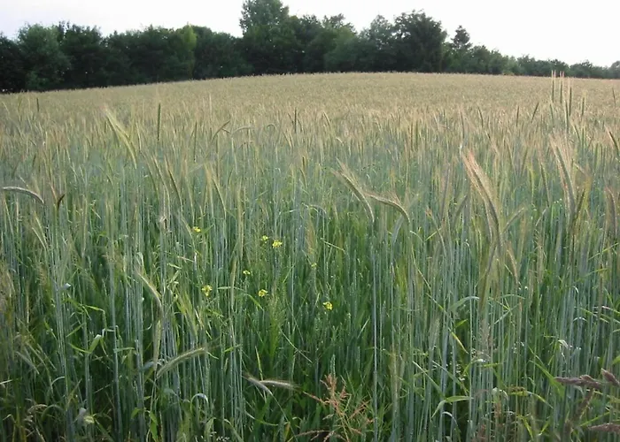 Stylish In Дом отдыха Bemelen